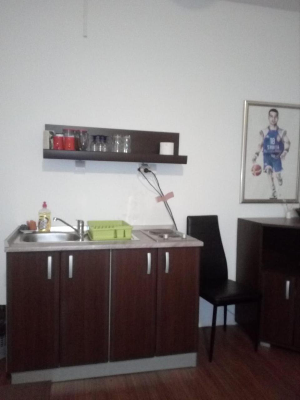 Apartment Viktor Stan Na Dan Šabac Exteriér fotografie